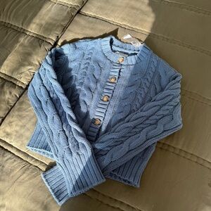 Abercrombie & Fitch Cable Knit Cardigan Sweater